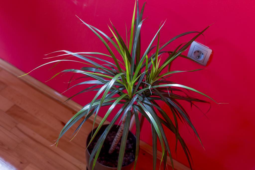 Ava Apartmani Zablaće Esterno foto